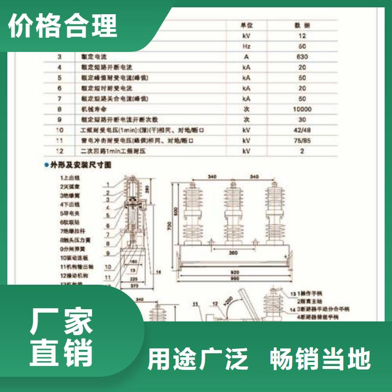 ZW43A-12G/T630户外高压真空断路器