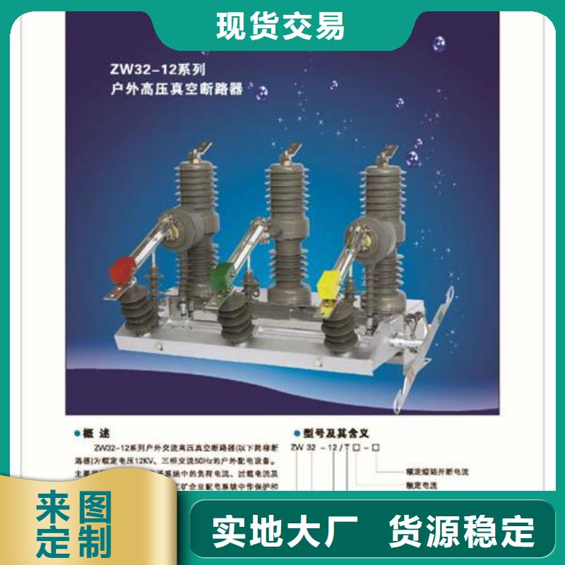 ZWM9-12永磁真空断路器