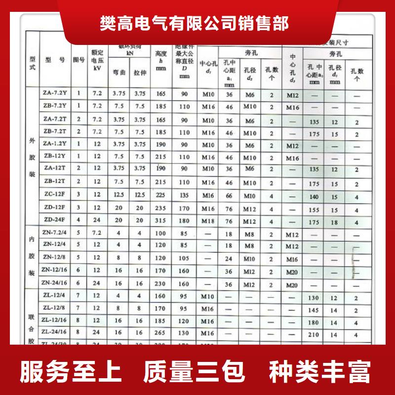 FPQ-10/3T16复合绝缘子樊高