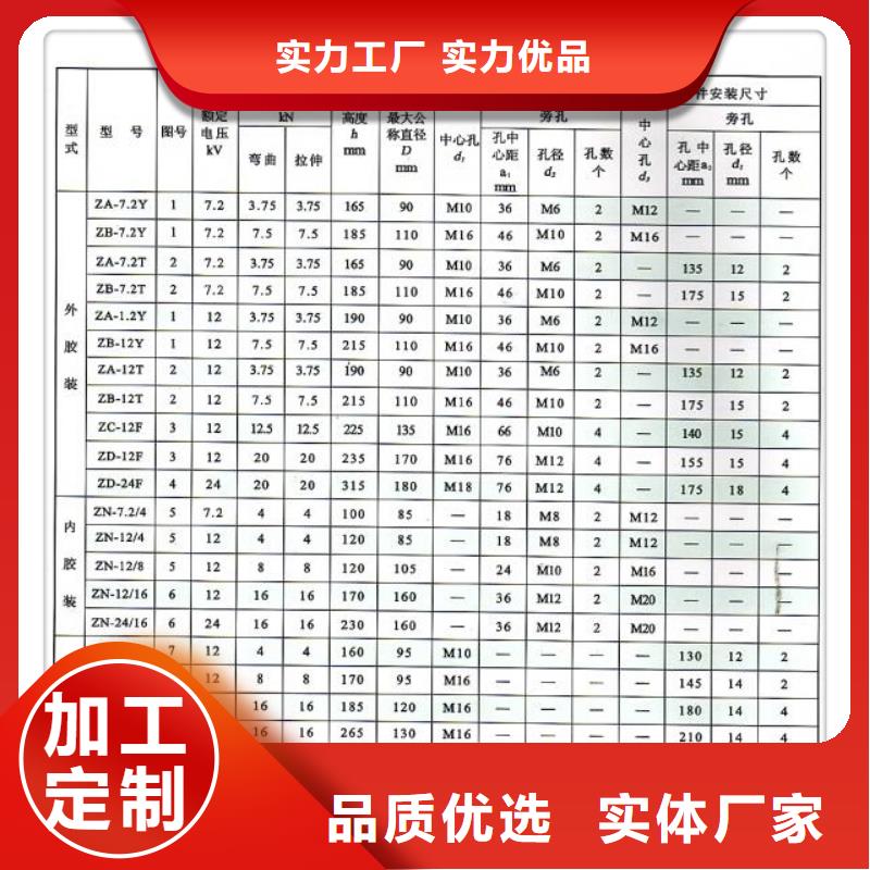 FZSW3-24/8绝缘子樊高