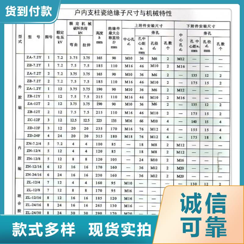 ZS-110/23.5户外高压绝缘子