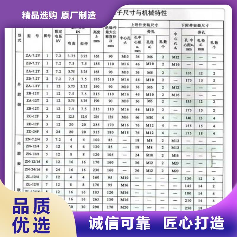 FZSW-126/8高压硅胶绝缘子