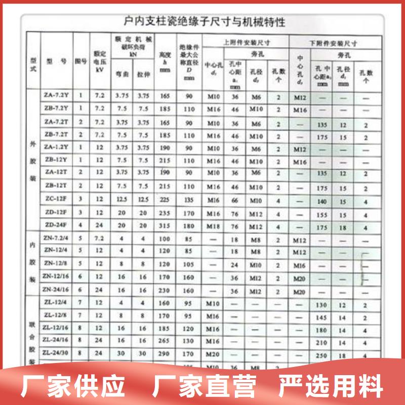 ZJ3-10Q/100*140环氧树脂绝缘子