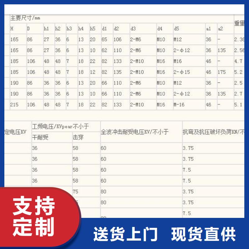 ZJ-10KV/85*140环氧树脂绝缘子