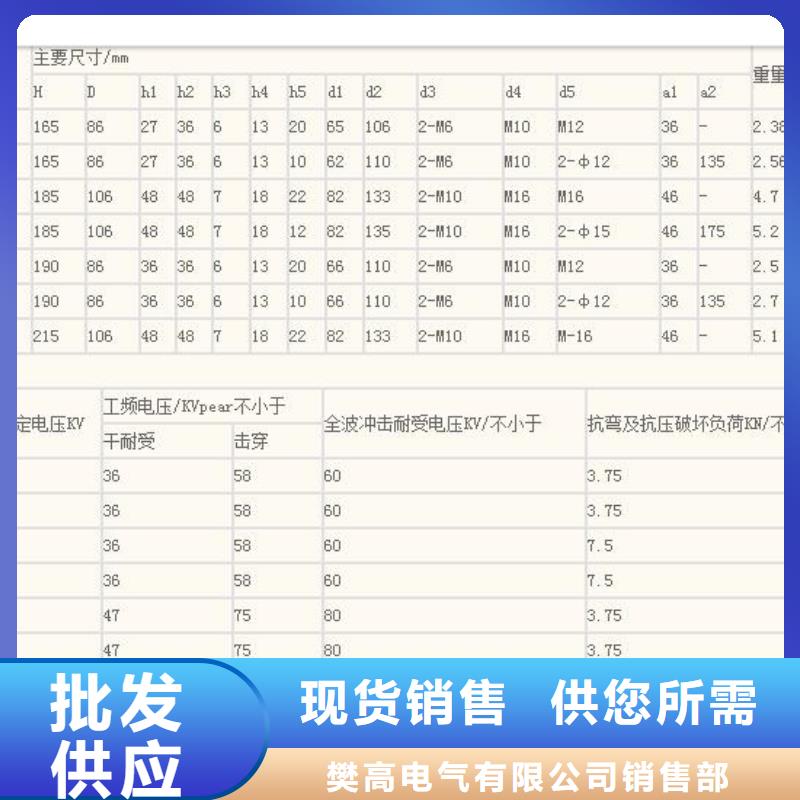 ZS-110/23.5户外高压绝缘子