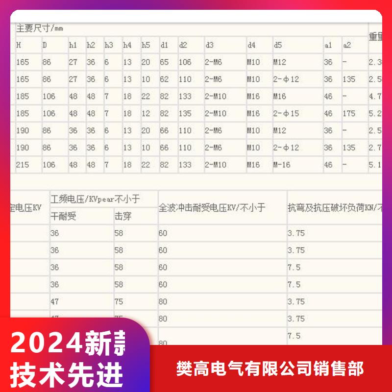 ZS-110/17户外高压绝缘子