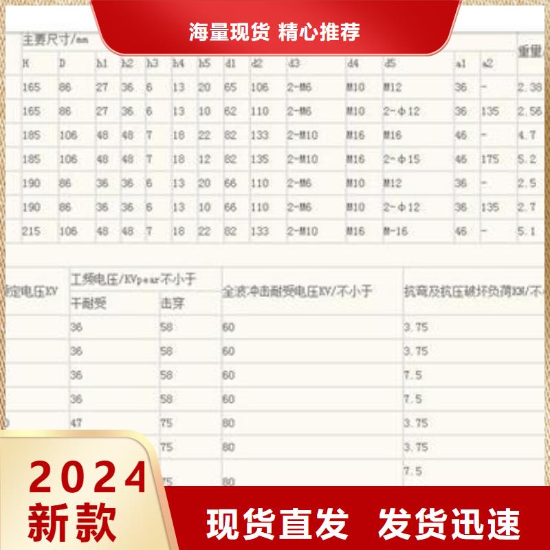 FZSW-12/4复合支柱绝缘子