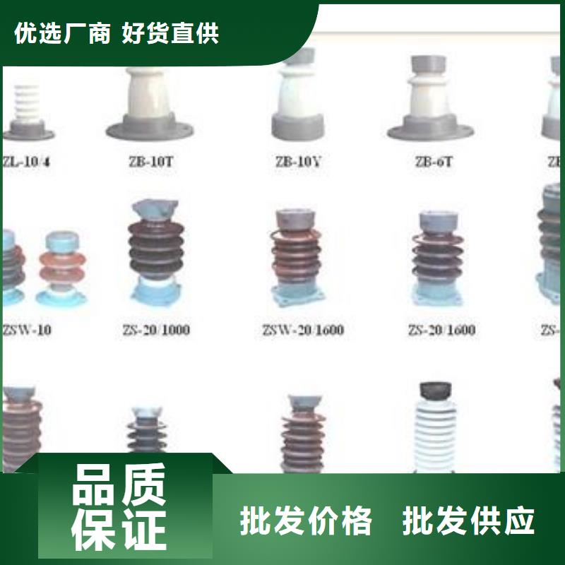 FZSW4-220/4复合绝缘子