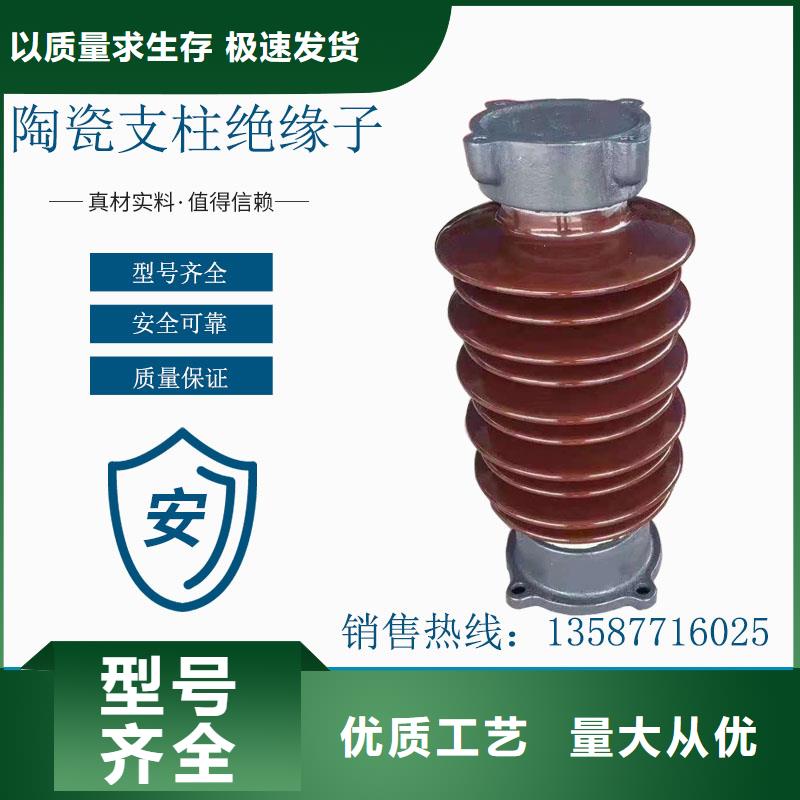 FZSW3-24/8绝缘子樊高