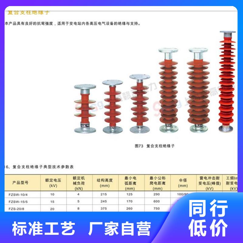 ZN-10/8高压绝缘子