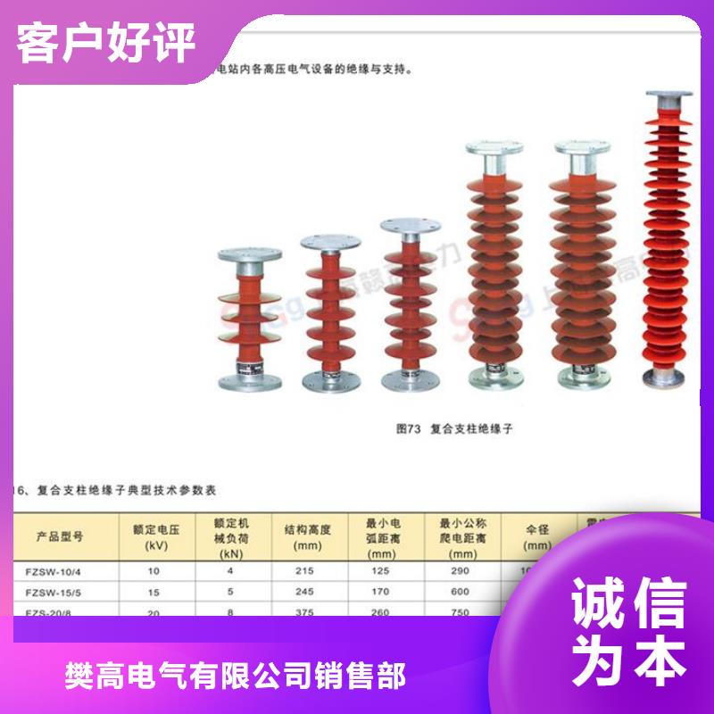 ZD-20F支柱绝缘子