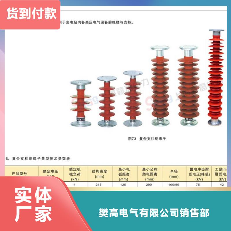 FZSW-35/6复合绝缘子樊高