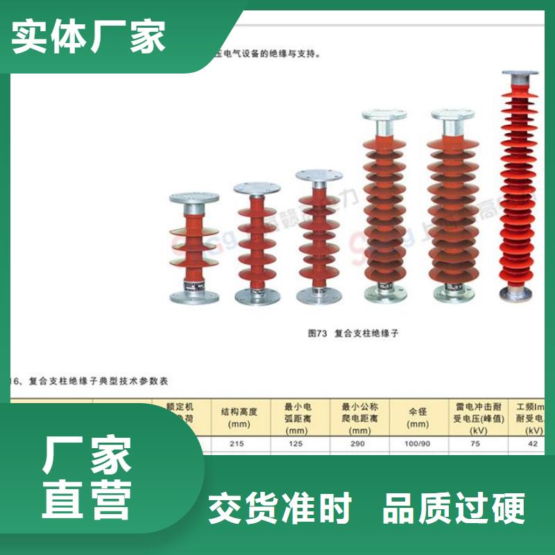 FZSW3-72.5/6复合高压绝缘子