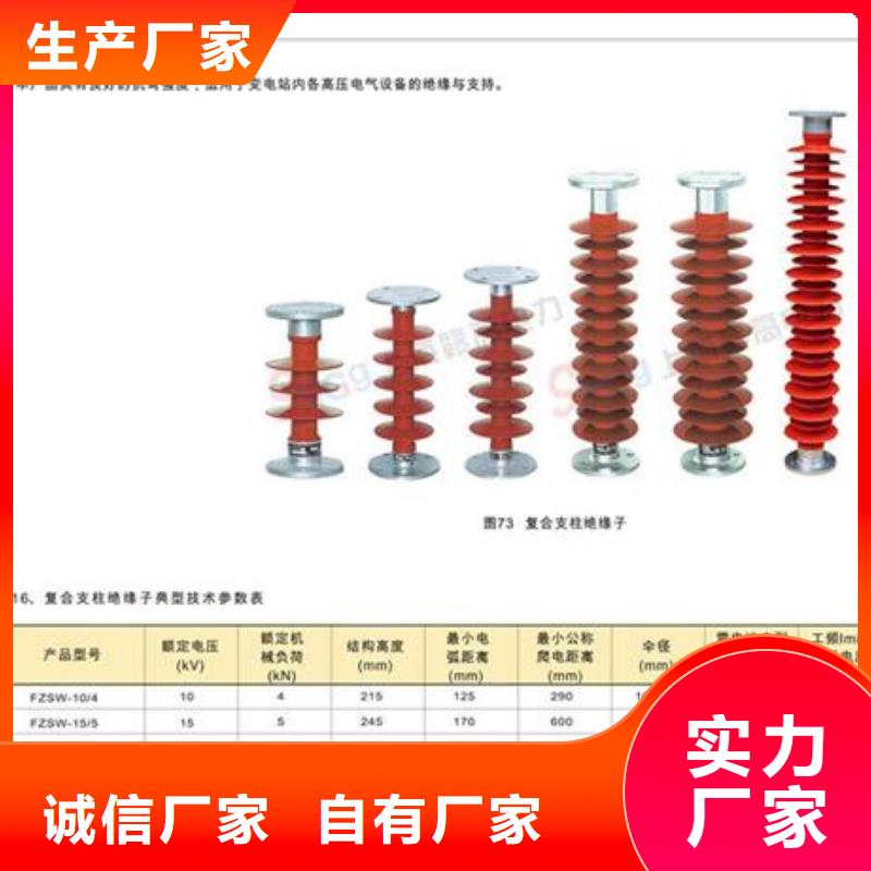 ZN3-35Q/130*380高压环氧树脂绝缘子