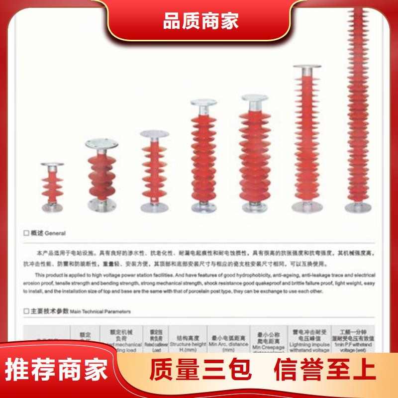 FZS-66/5L硅胶绝缘子樊高