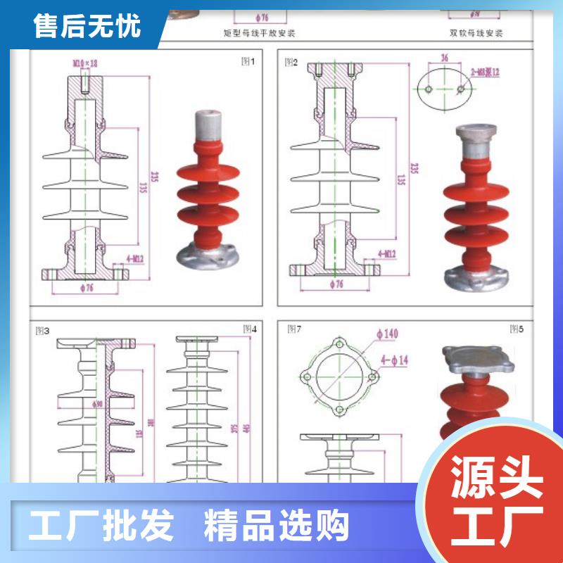 FZS-24/8-1绝缘子樊高