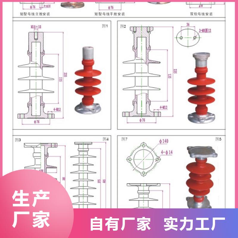 FZSW-12/8高压复合绝缘子