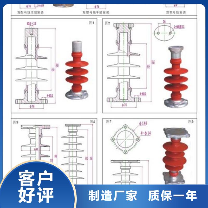 ZS-63/600陶瓷绝缘子樊高电气