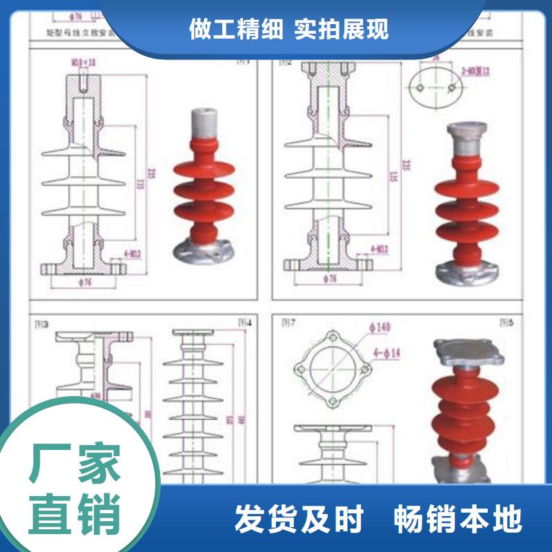 ZS-110/23.5绝缘子樊高电气