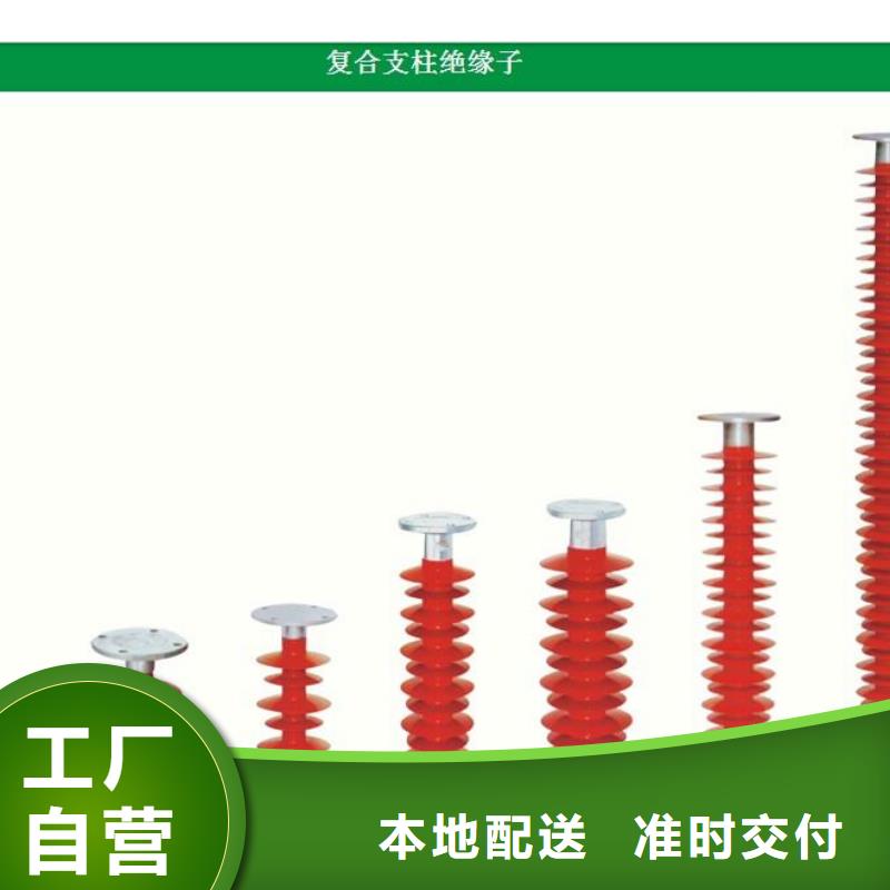 FXBW3-330/100硅胶绝缘子