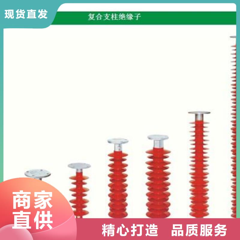 ZN-35KV/130*380高压环氧树脂绝缘子