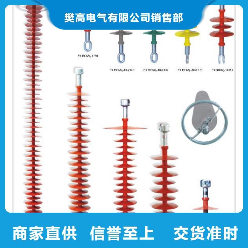 ZJ-10Q/85*140高压环氧树脂绝缘子