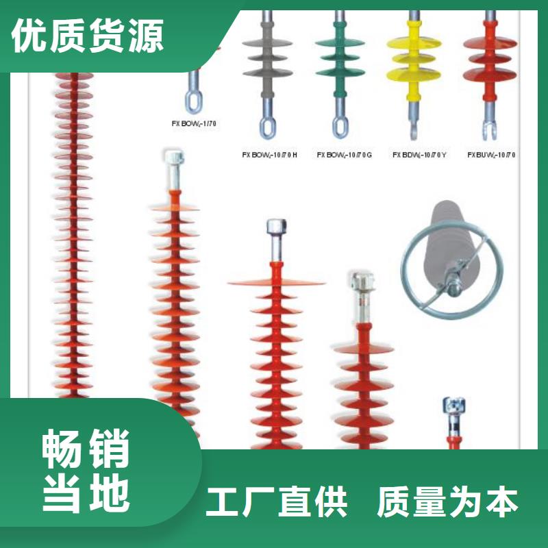 FXBW4-110/100硅胶棒型绝缘子