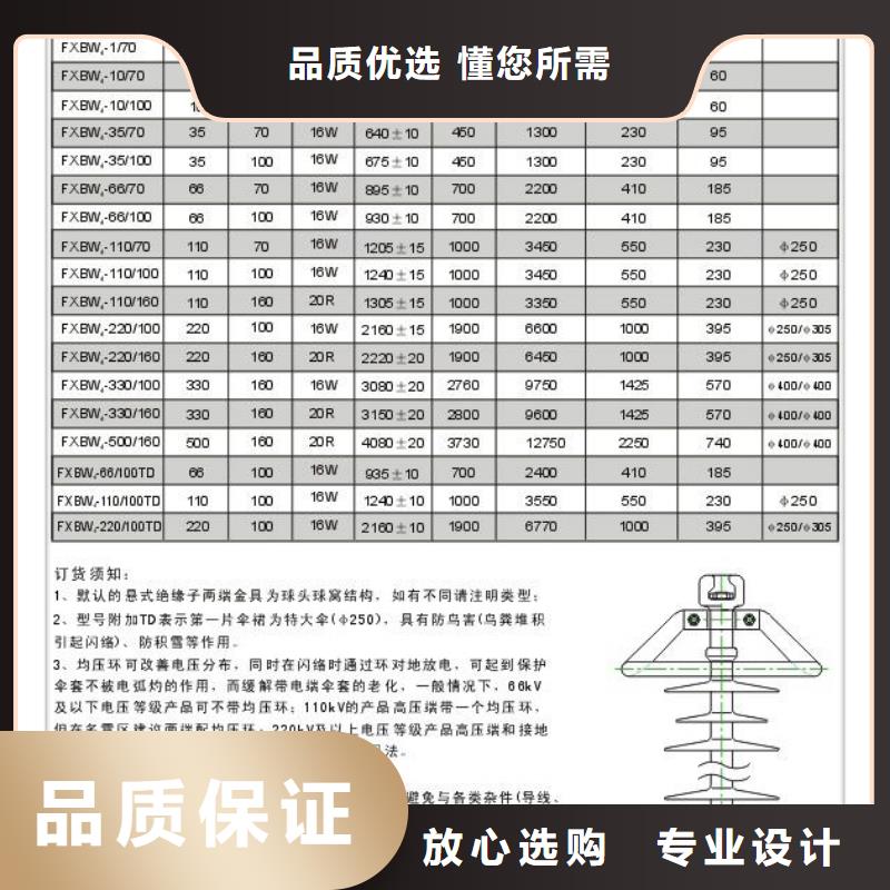 FZS-24/8-1绝缘子樊高