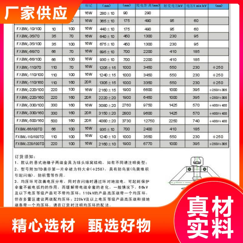 FXBW4-220/160复合绝缘子