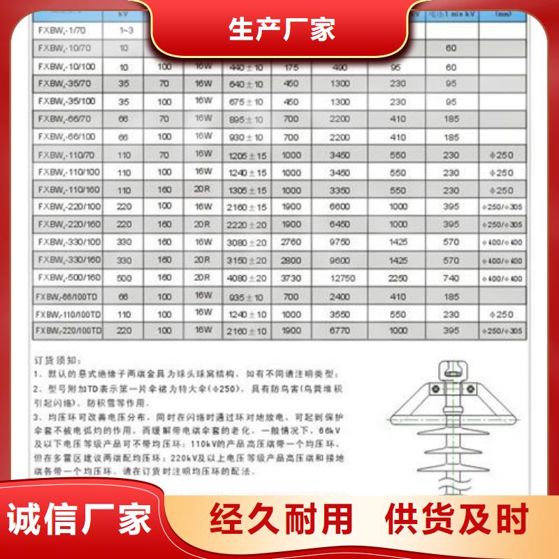 ZS2-10/1000支柱绝缘子