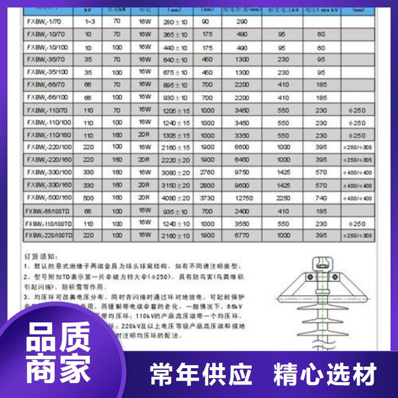 ZB-6T高压陶瓷绝缘子