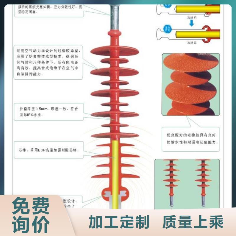 FZSW4-66/5L复合支柱绝缘子