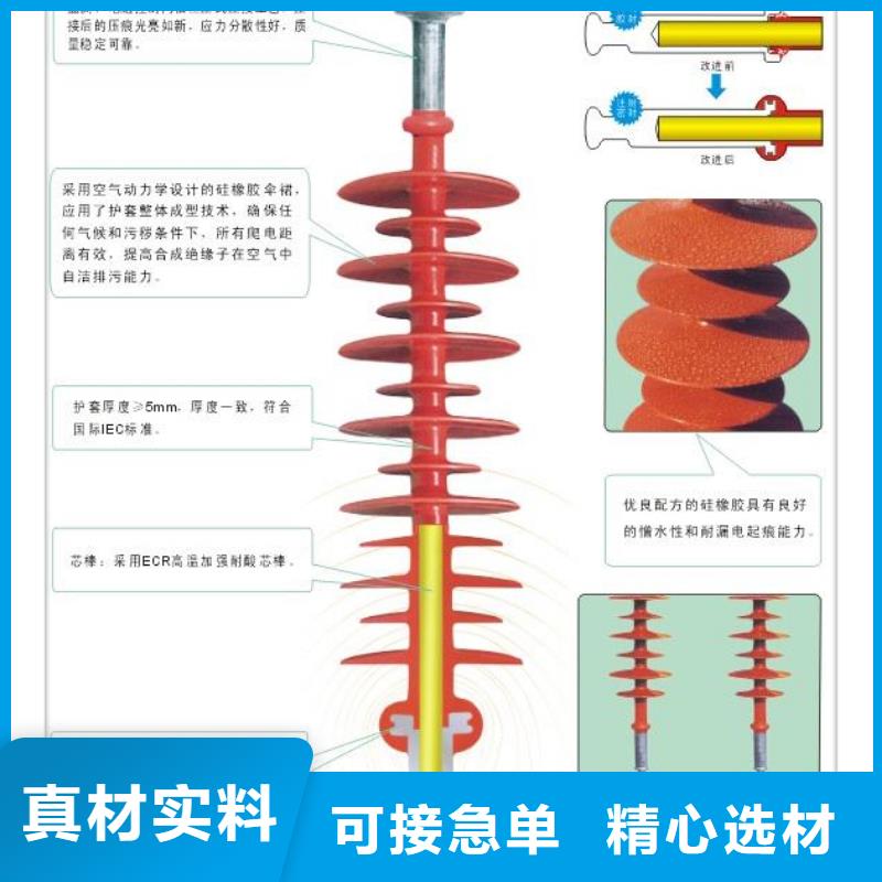 绝缘子_固定金具认准大品牌厂家