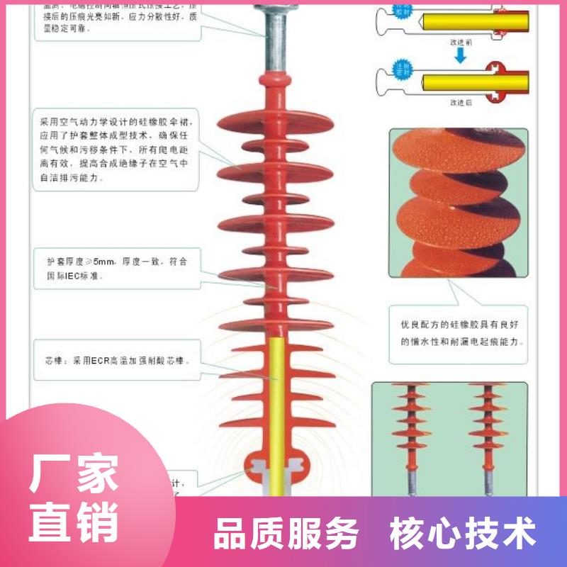 FZSW-72.5/6复合支柱绝缘子