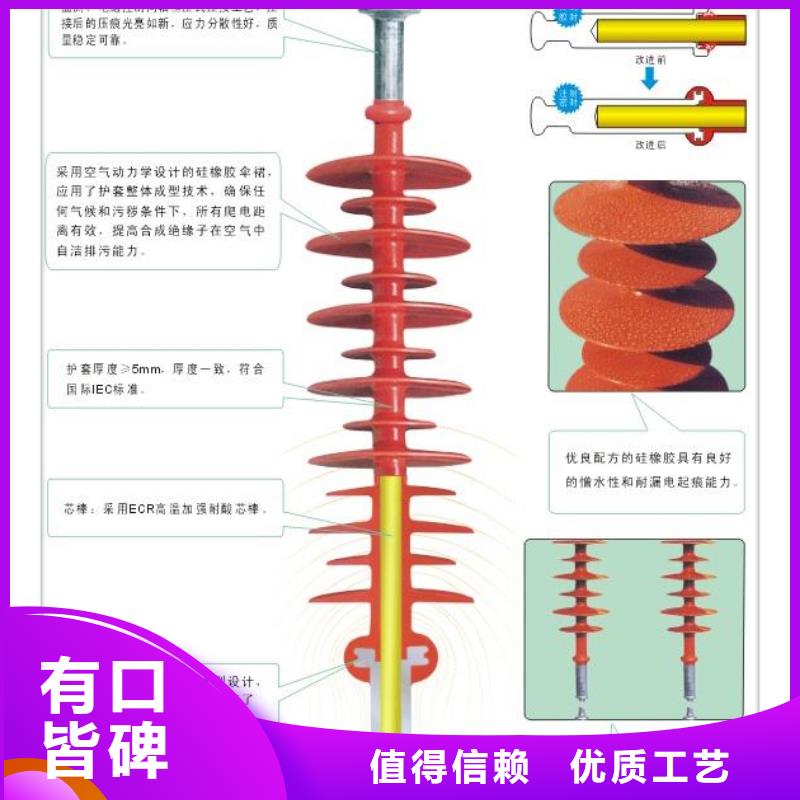 ZSW-35/8陶瓷绝缘子樊高电气