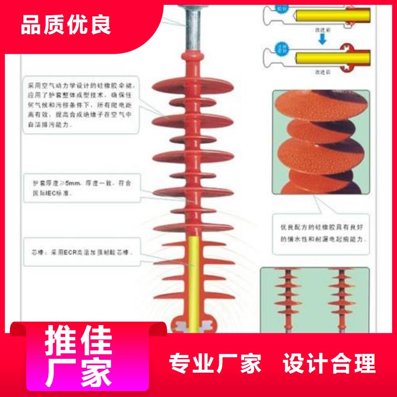 FXBW1-500/210硅胶绝缘子