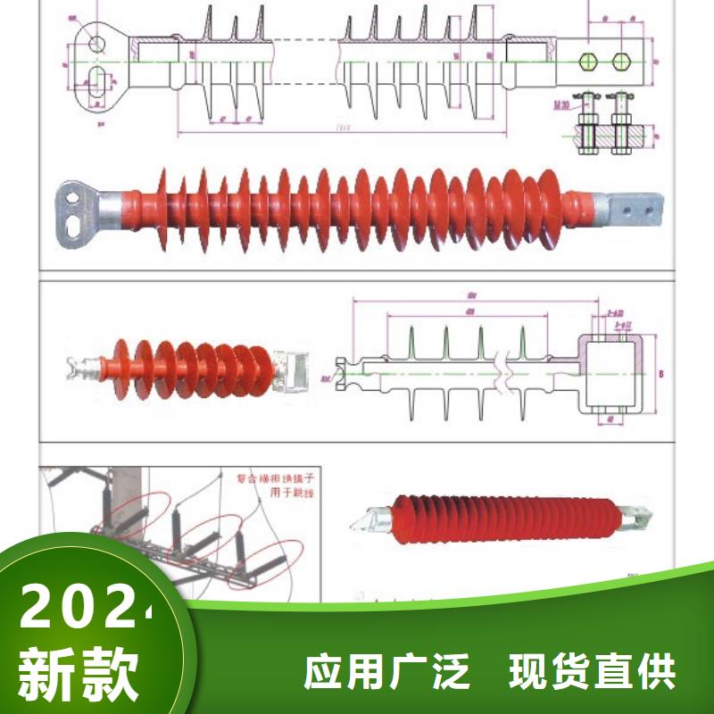 FZSW-12/8高压复合绝缘子