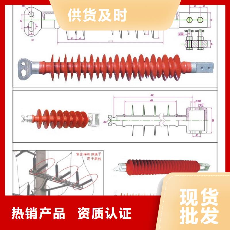 FZSW-72.5/12.5硅胶绝缘子樊高