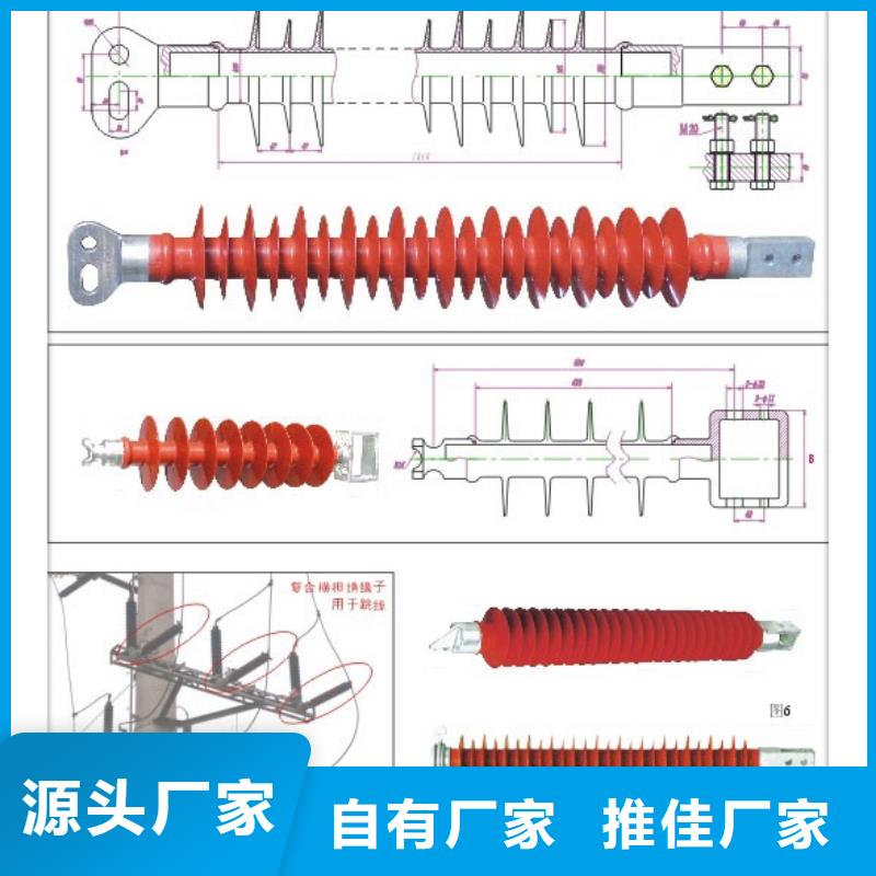 ZSW2-20/800高压绝缘子樊高电气