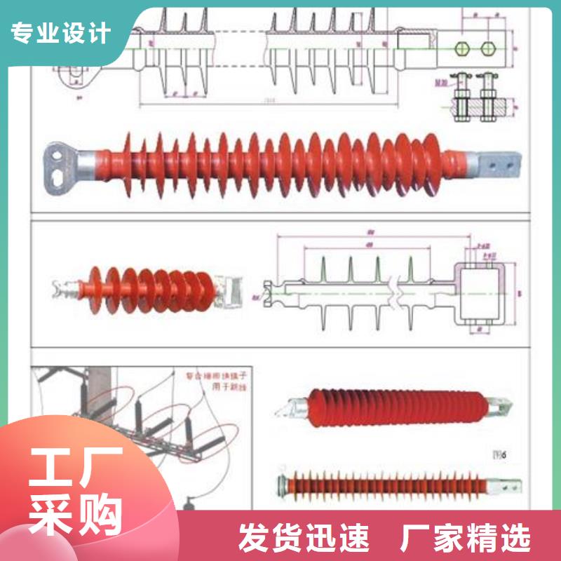 FZS-66/5L硅胶绝缘子樊高