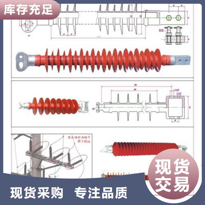 【绝缘子真空断路器批发厂家现货批发】