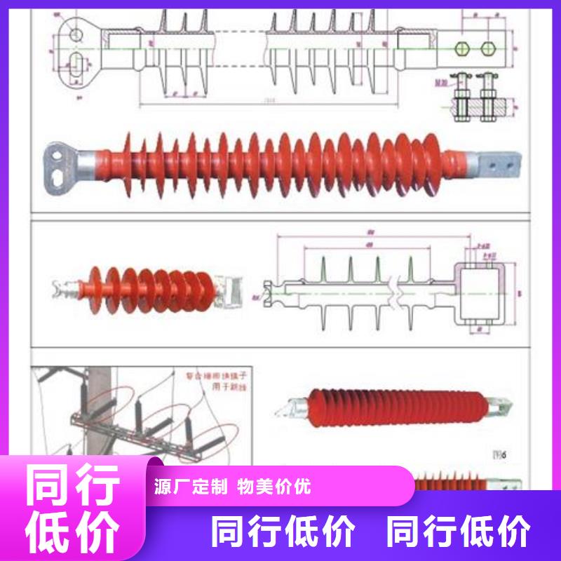 FXBW6-10/70硅胶绝缘子