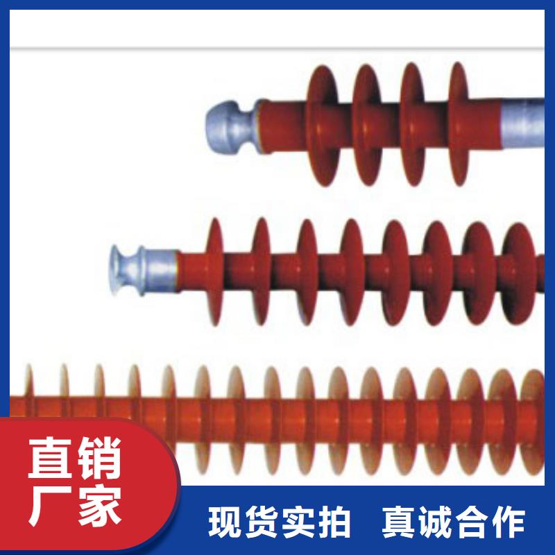 绝缘子_【真空断路器】满足客户需求