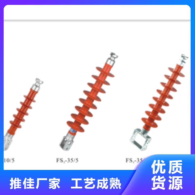 ZSW-110/8.5绝缘子樊高电气