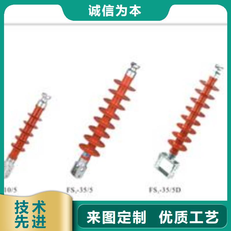 FZS-24/8-1绝缘子樊高