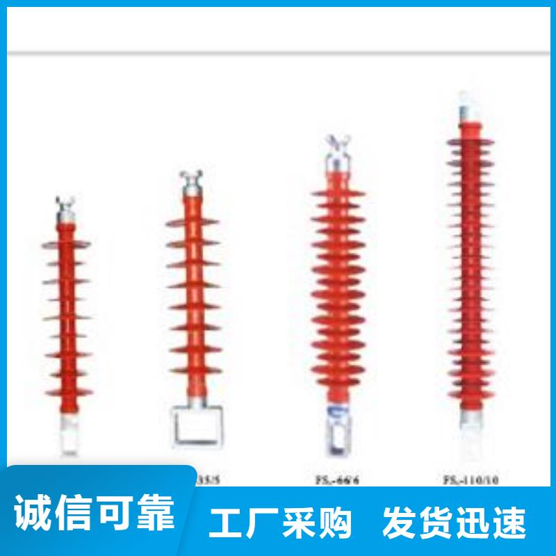 FZS-12/5高压复合绝缘子