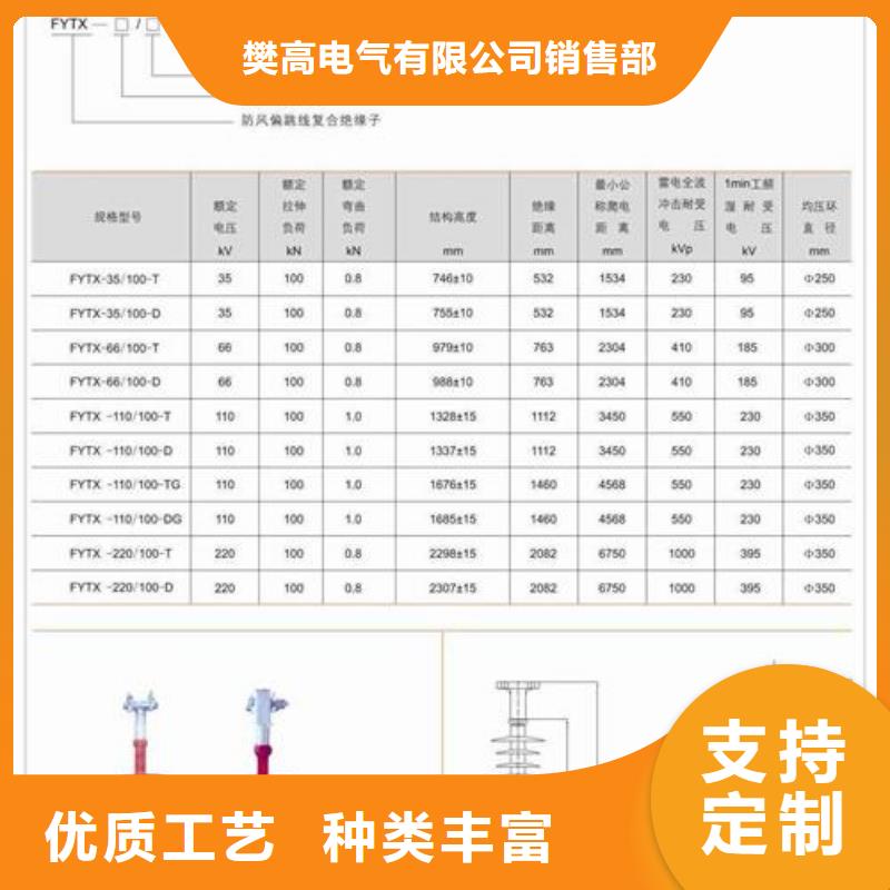 ZJ-10KV/70*130高压绝缘子