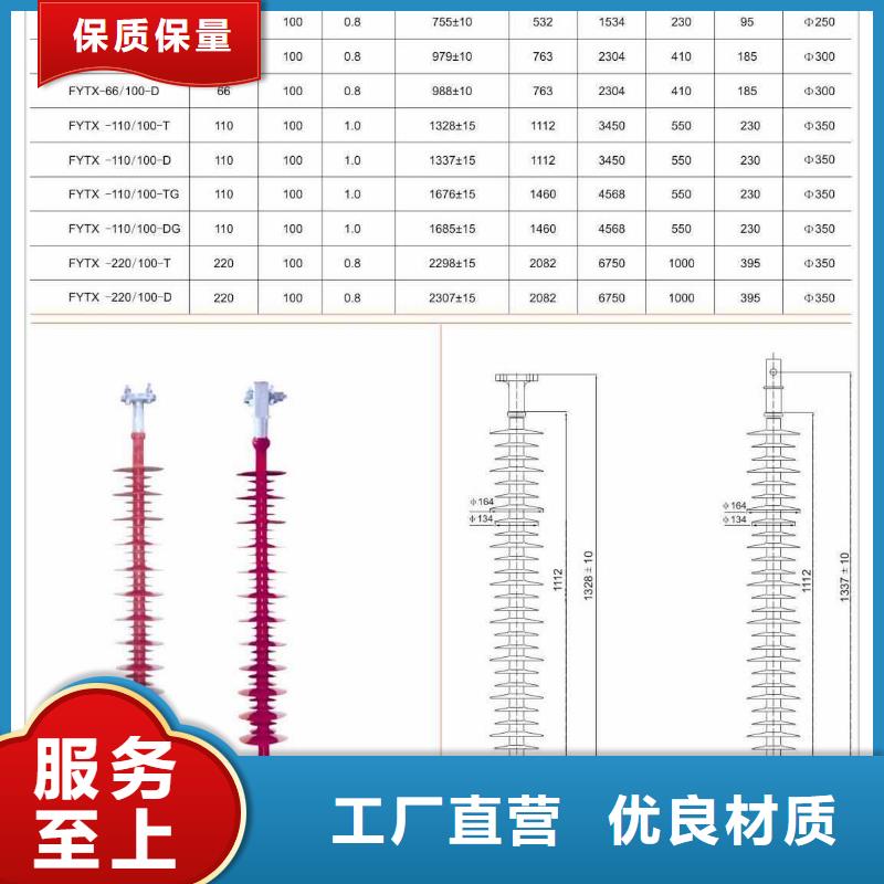 ZJ-10Q/85*140高压环氧树脂绝缘子