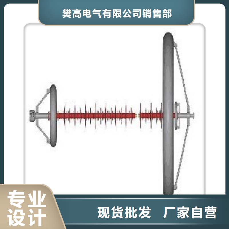 FXBW3-220/100硅胶绝缘子