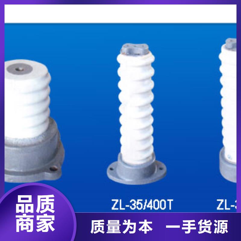 ZJ-10KV/75*130环氧树脂绝缘子